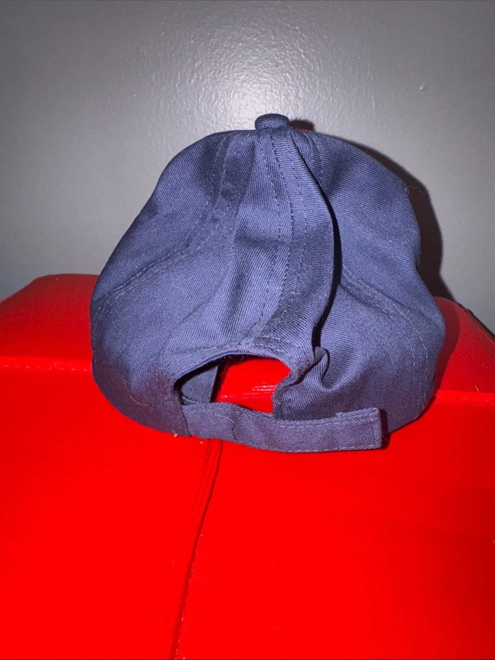 Wolf Patch Red and Navy Cat Hat